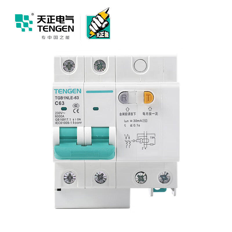 Tianzheng Electric Air Switch TGB1NLE-63 2P C 63A 50mA 335021600814 Miniature Leakage Protection Circuit Breaker