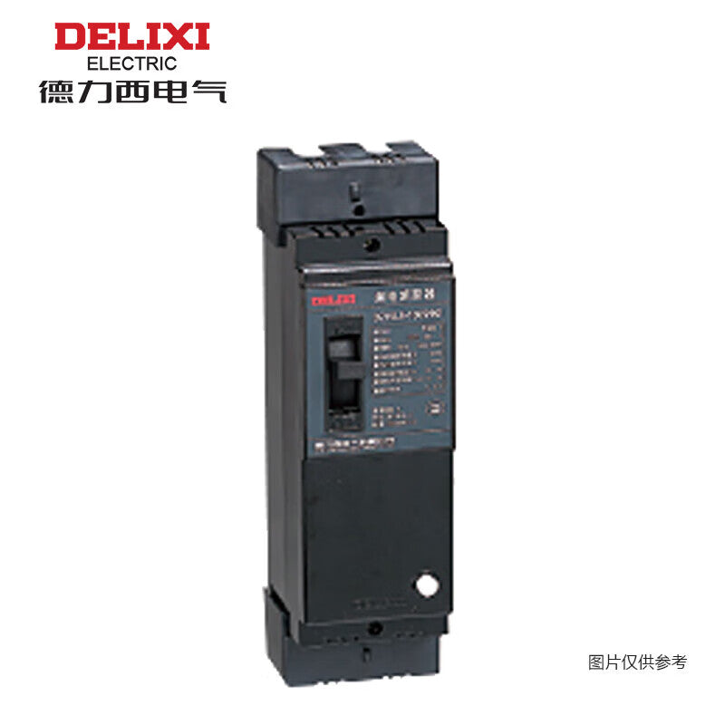 Delixi DZ15LE 100A 2P Circuit Breaker with Leakage Protection