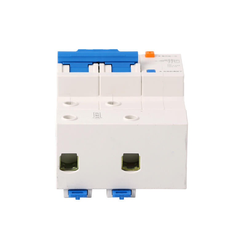 Chint NXBLE-125 2P C100 30mA RCCB Circuit Breaker