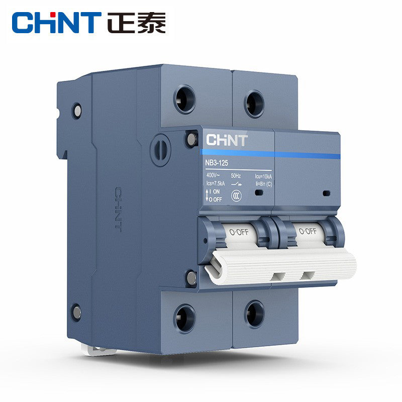 Chint NB3-125 Series 2P C100A Small Circuit Breaker