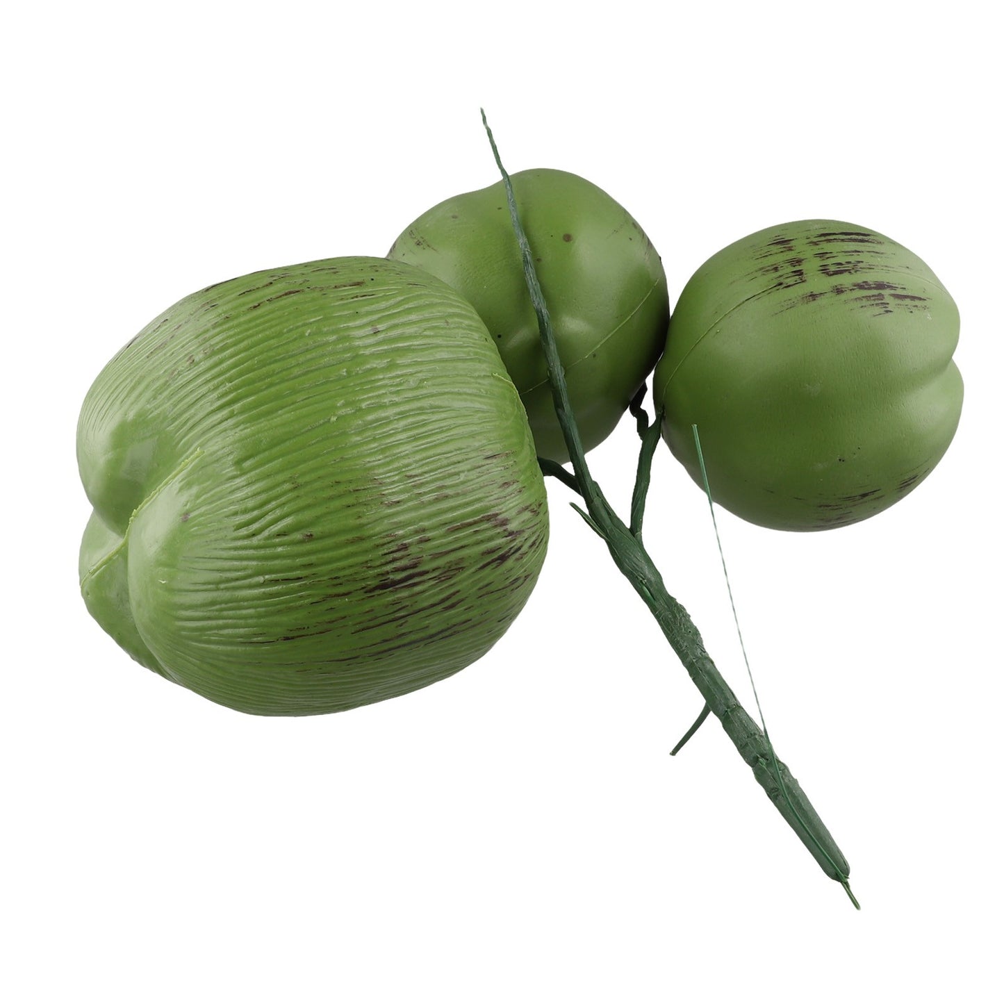 Note Package Content Farmhouse Decor Artificial Coconut Realistic Appearance