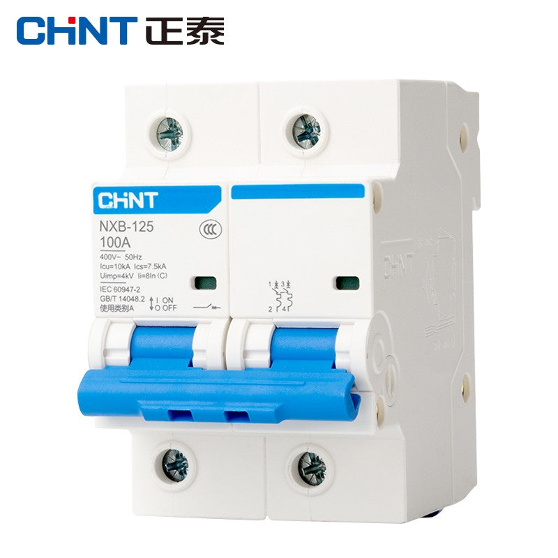 Chint NXB-125-2P-C100 Industrial Circuit Breaker Air Switch