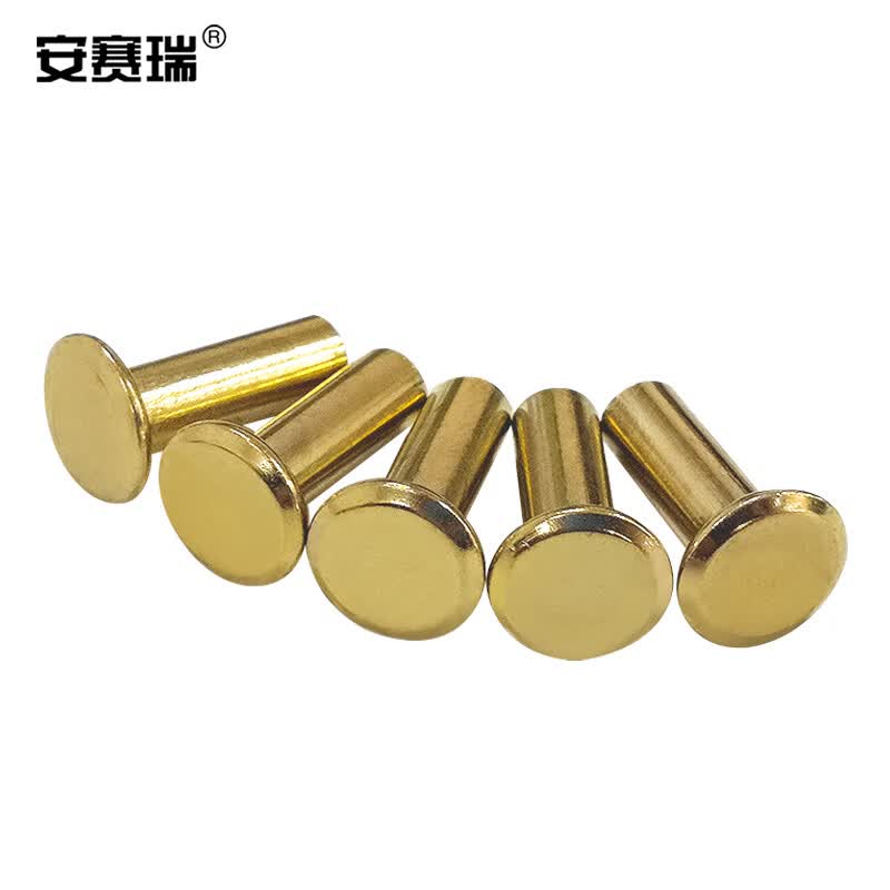 Anselreco copper-plated rivets, ledger/album binding screws, rivets, recipe book locking mechanisms, 5×20, 100 sets, 4C00091