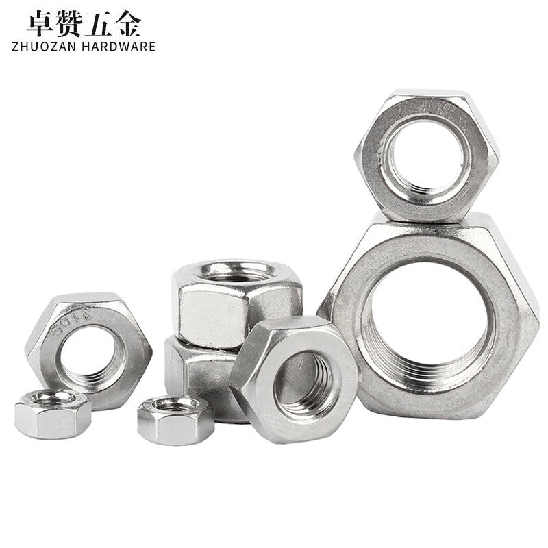 Zhuozan 304 Stainless Steel Hex Screws and Nuts, External Hex Nuts M8 (100 pieces)