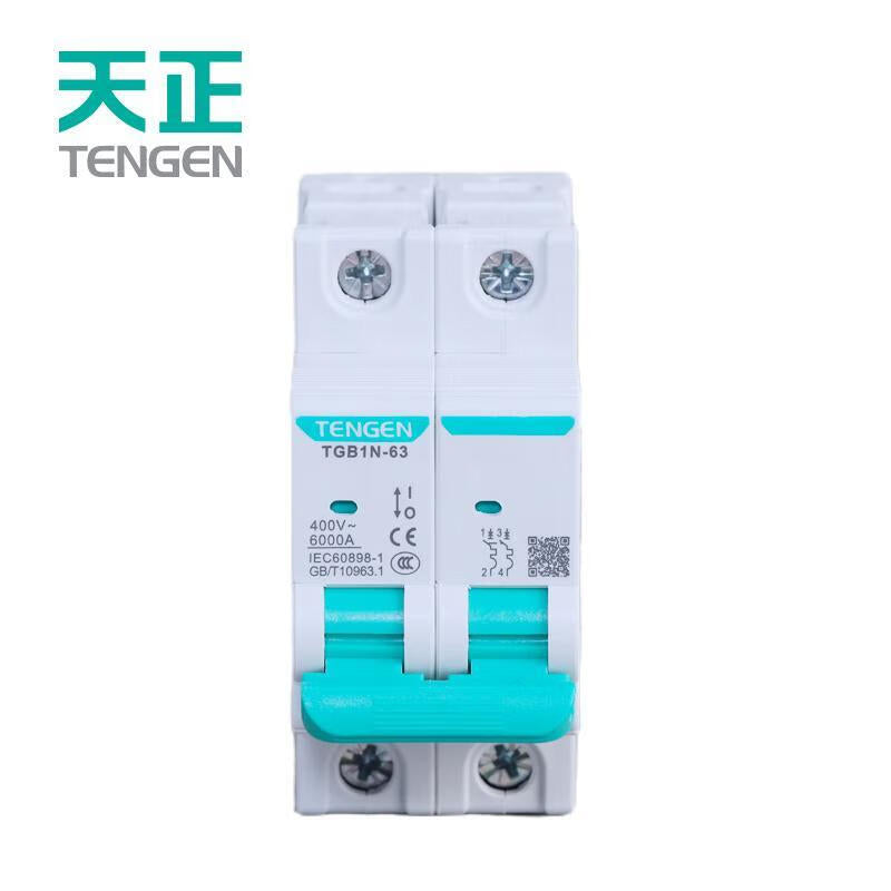 Tianzheng Electric Air Switch TGB1N-63 2P D 20A 6KA 335012800674 Small Circuit Breaker