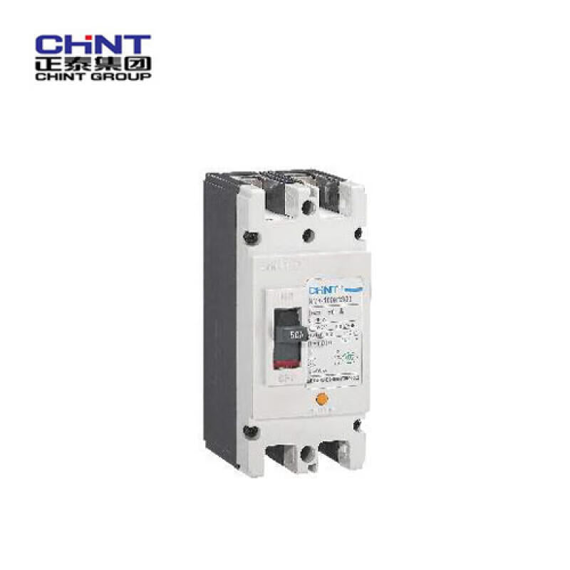 Chint NM1-250H Molded Case Circuit Breaker 225A