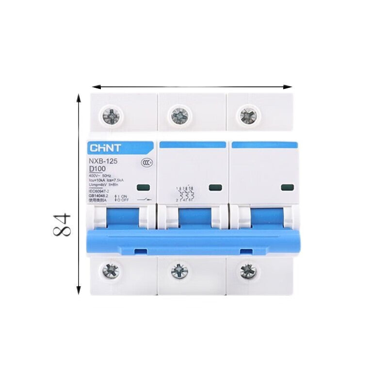 Chint NXB-125 3P D100 Circuit Breaker Air Switch