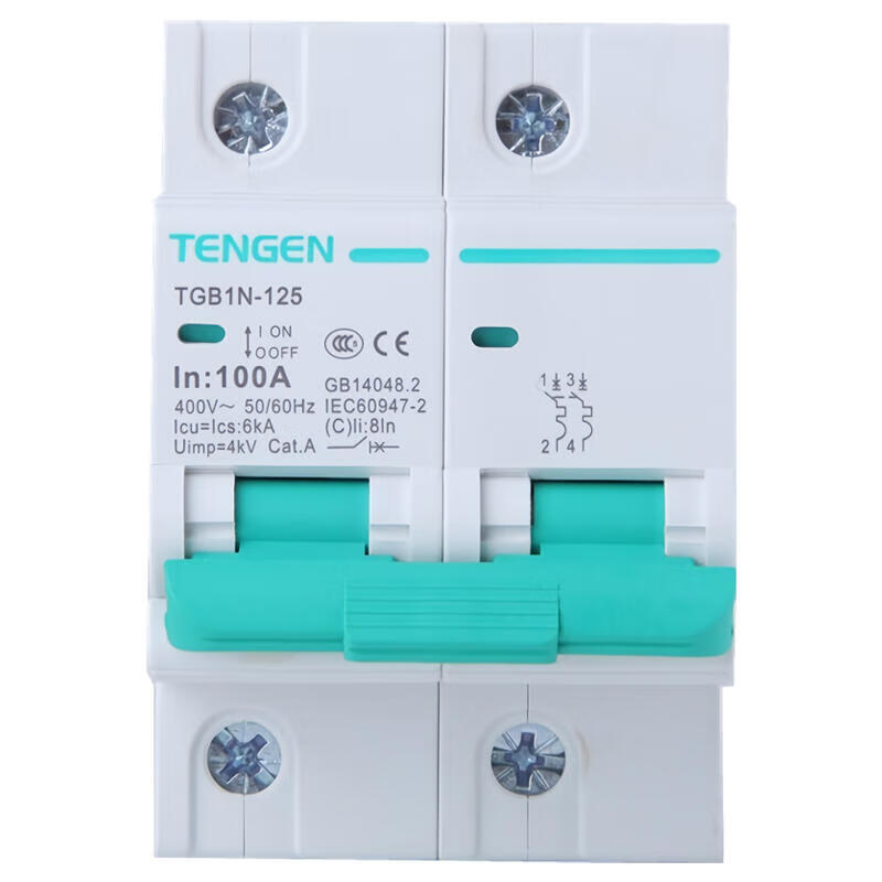 Tianzheng TGB1N-125 2P C100 Circuit Breaker