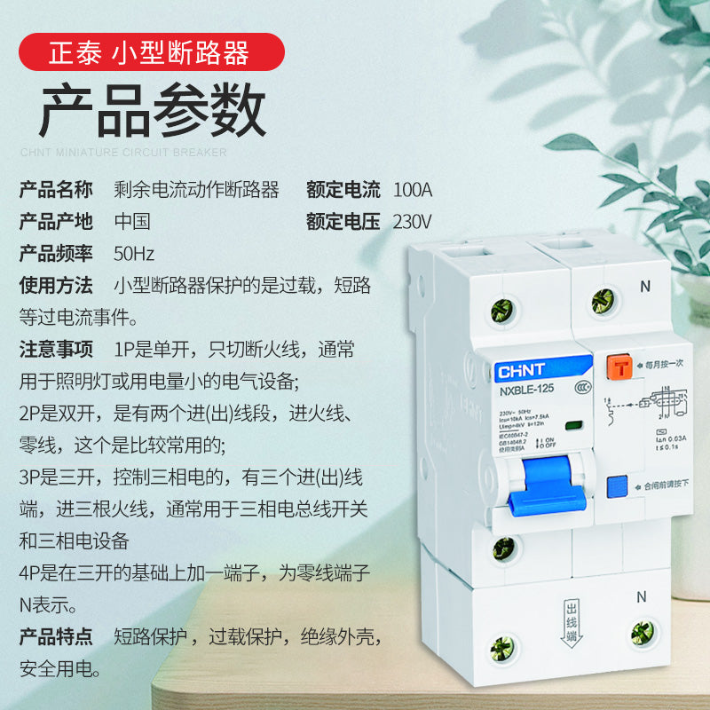 Chint NXBLE-125 Leakage Protector Circuit Breaker 1P+N 100A