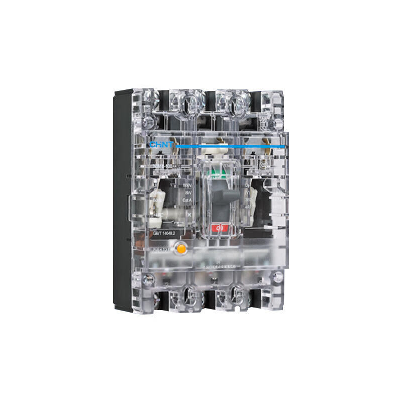 Chint NM10-100/330 40A Circuit Breaker Transparent Case
