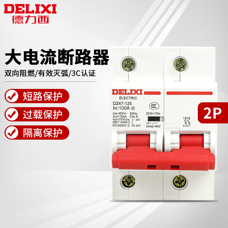 DELIXI DZ47S-125 2P D80 Air Circuit Breaker Main Switch