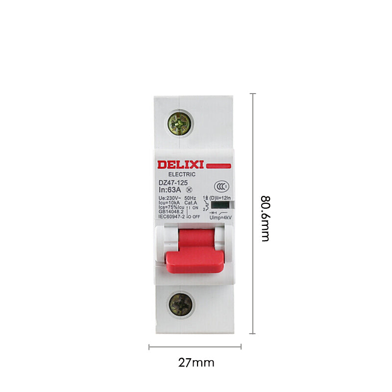 Delixi DZ47-125 high current 1P80A D type small circuit breaker air switch (customized)