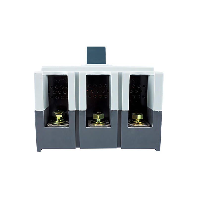 Chint NM10-250/330 250A Molded Case Circuit Breaker