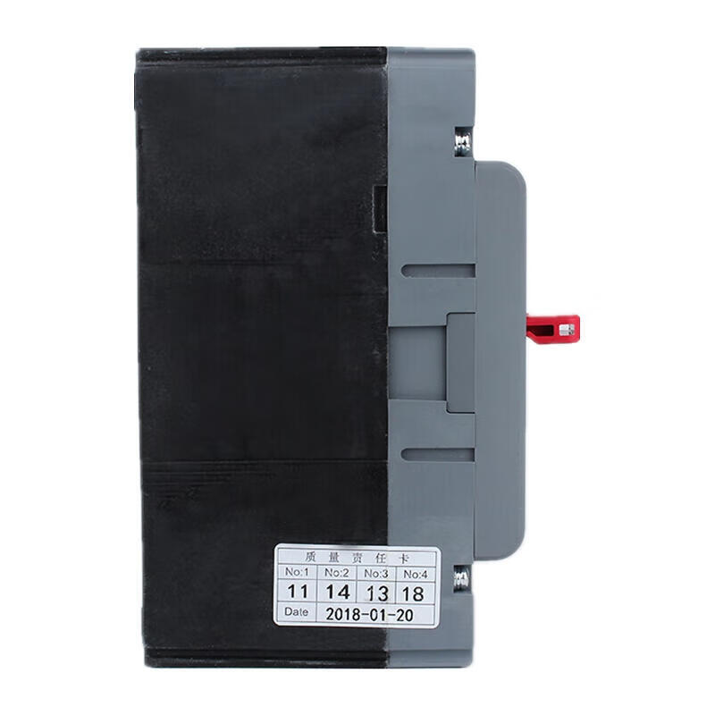 Delixi CDM3L-125S 100A Residual Current Circuit Breaker
