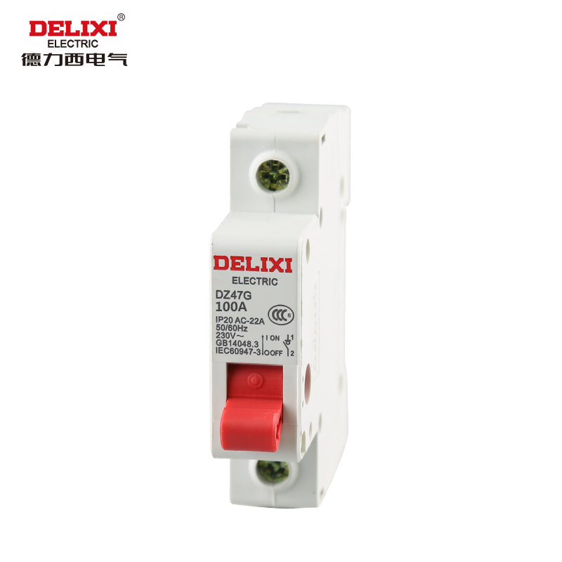 Delixi Electric DZ47G-1P 100A isolation switch DZ47G1100