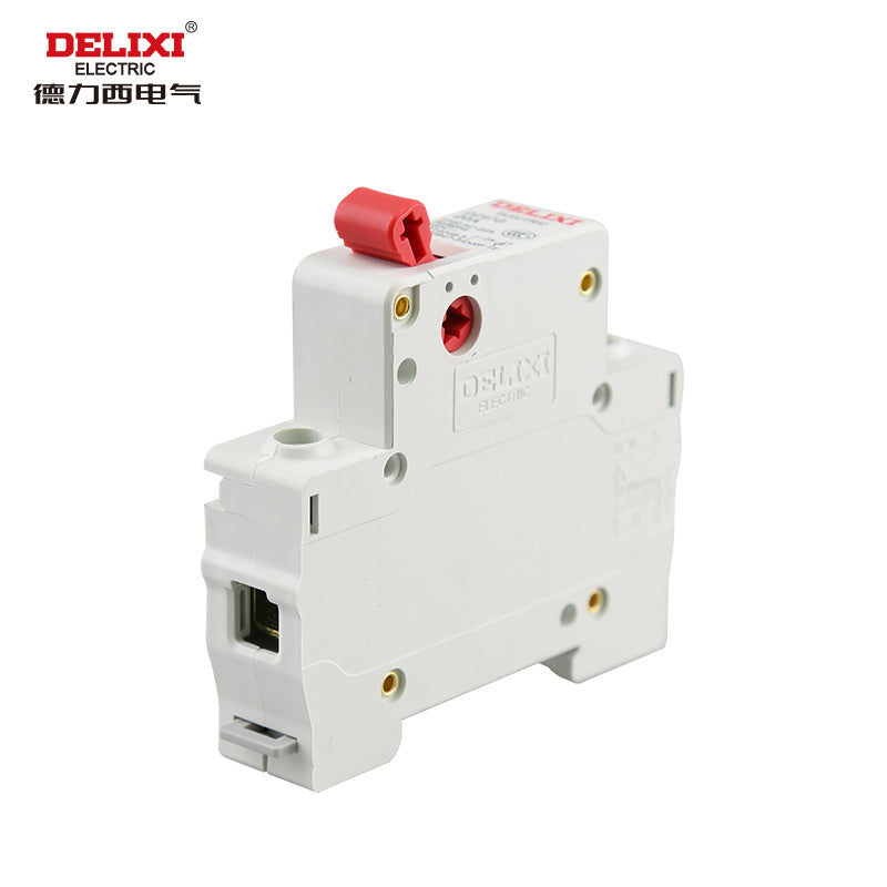 Delixi Electric DZ47G-1P 100A isolation switch DZ47G1100