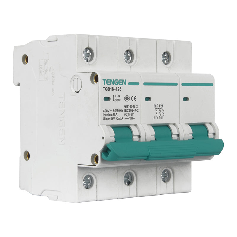 Tianzheng TGB1N-125 3P D 100A 6KA Circuit Breaker