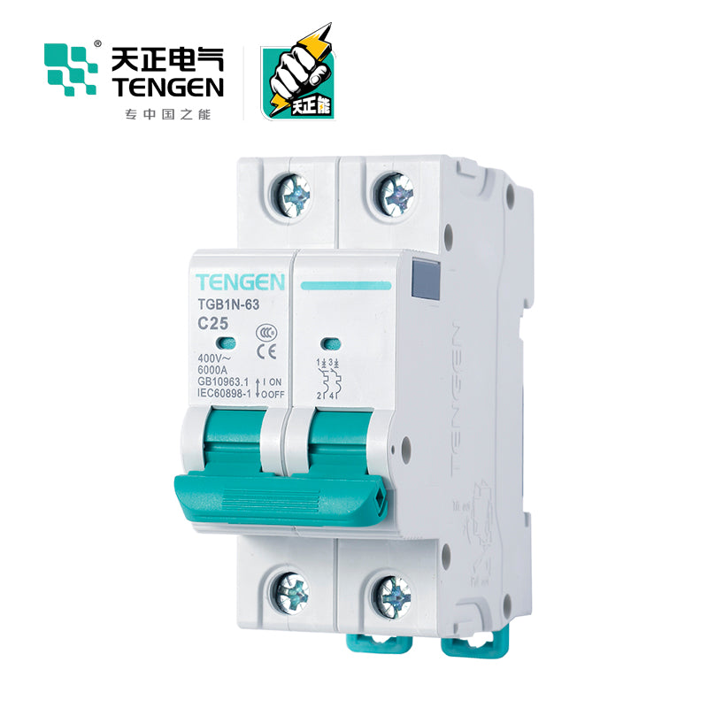 Tianzheng TGB1N-63 2P C 63A 6KA Circuit Breaker (6/box)