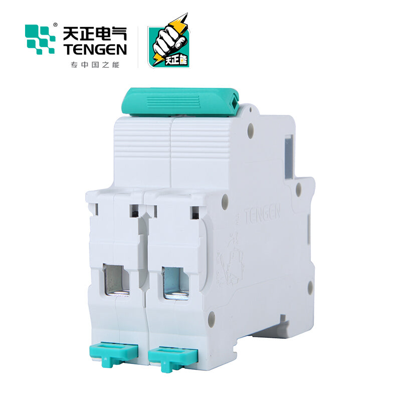 Tianzheng TGB1N-63 2P C 63A 6KA Circuit Breaker (6/box)