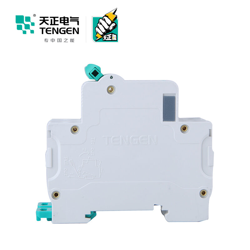 Tianzheng TGB1N-63 2P C 63A 6KA Circuit Breaker (6/box)