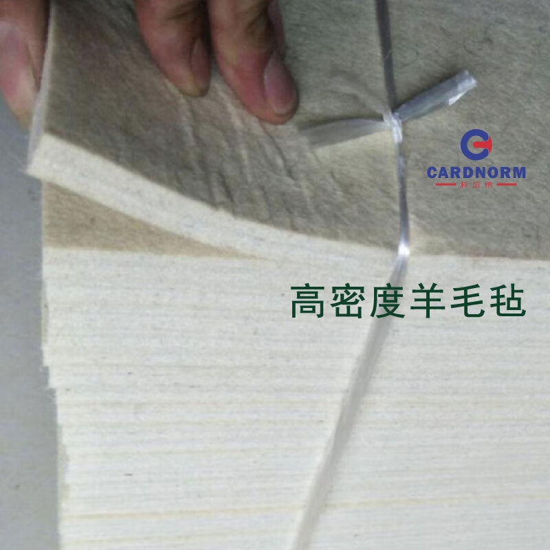 CARDNORM Industrial Wool Felt 1000X1000X3MM