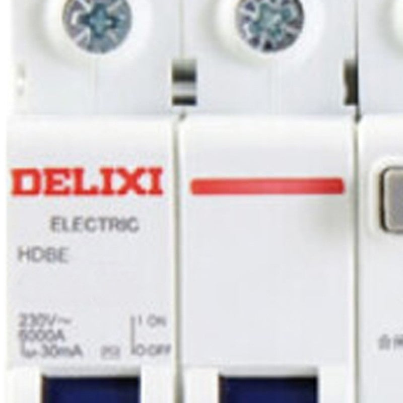 DELIXI ELECTRIC HDBE-63LE 40A Leakage Circuit Breaker Switch
