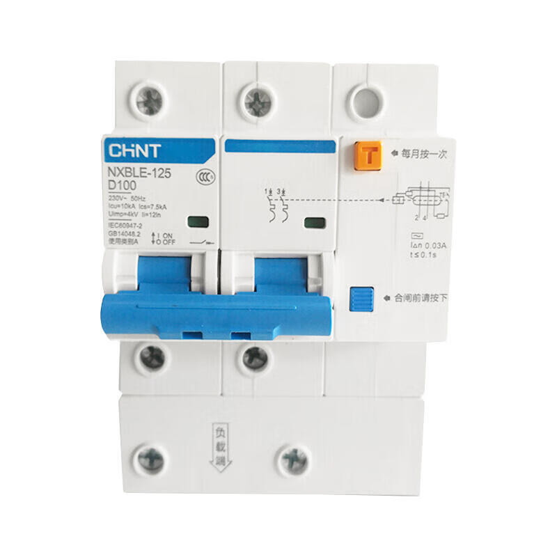 Chint NXBLE-125 2P D100 RCCB 30mA Circuit Breaker
