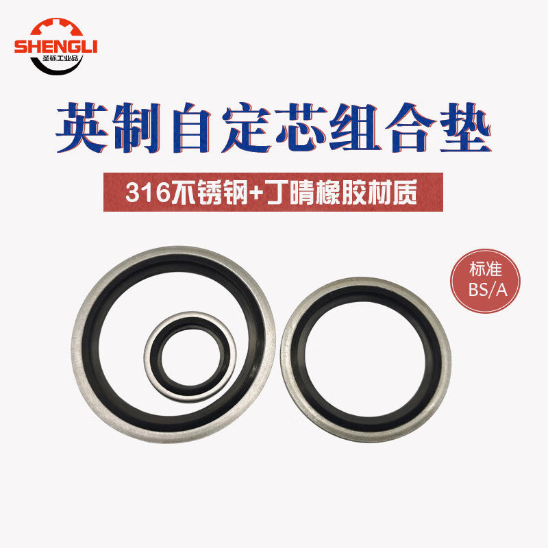 Saint-Gross Premium Galvanized Combination Gasket, Imperial 316 Stainless Steel Nitrile Oil Pipe Sealing Ring, G3/4 [5 pieces]
