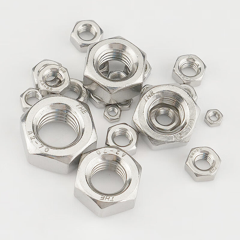 Haisdick 304 Stainless Steel Nuts, Hex Bolts and Nuts, DIN934 Nuts HKsq-429 M10 (100 pieces)