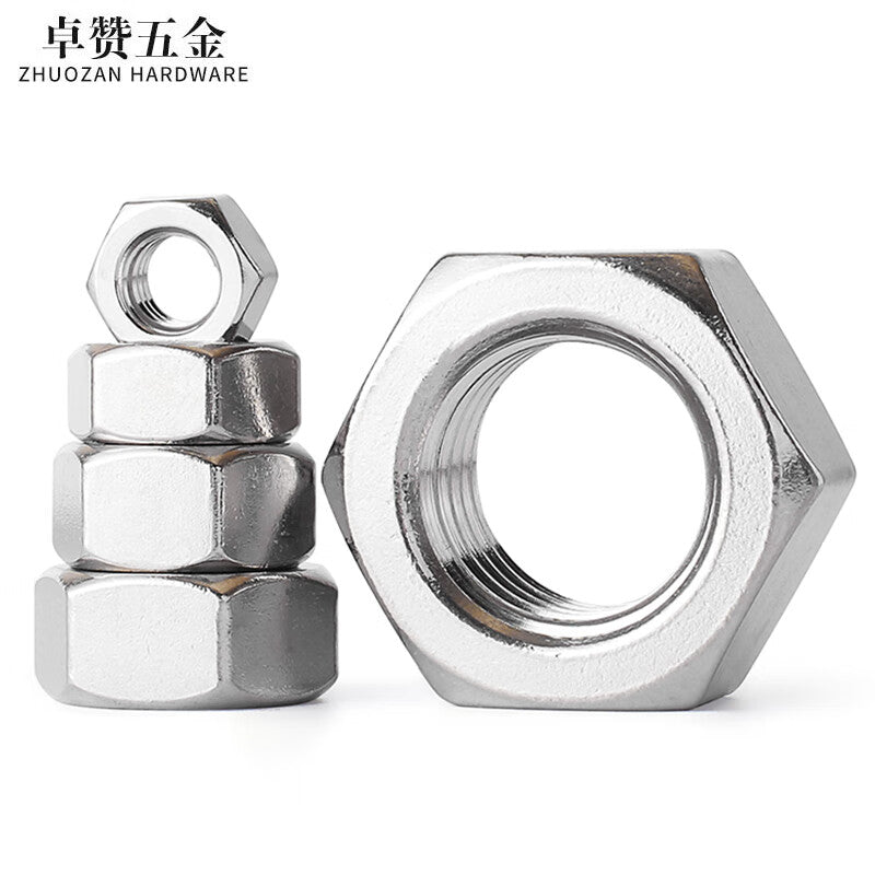 Zhuozan 304 Stainless Steel Hex Screws and Nuts, External Hex Nuts M8 (100 pieces)