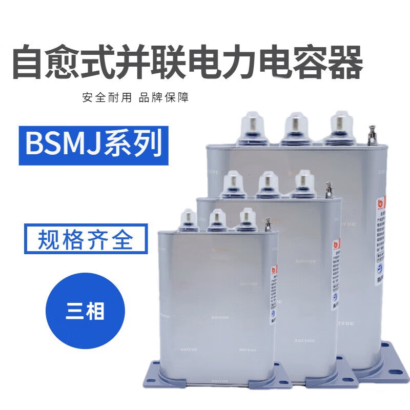 Zhiyue BSMJ0.4-20-3 3Kvar 400V Low-Voltage Power Compensator