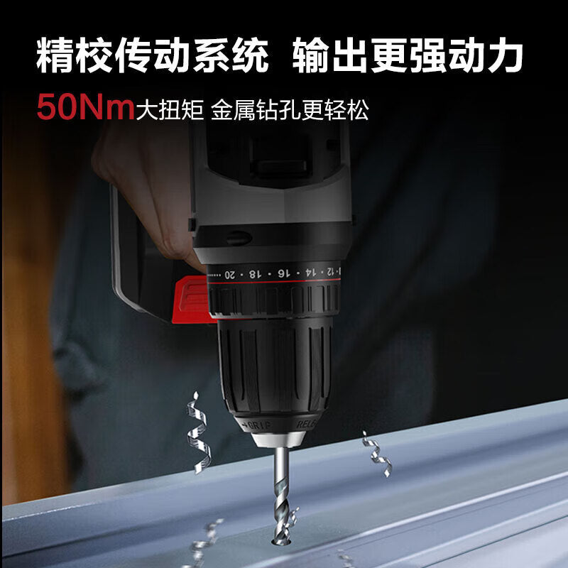 DELI Tools Professional Grade 20V 50NM 10mm Lithium Drill; DE-DZ20-1D2 (Two Batteries and One Charger 2.0)