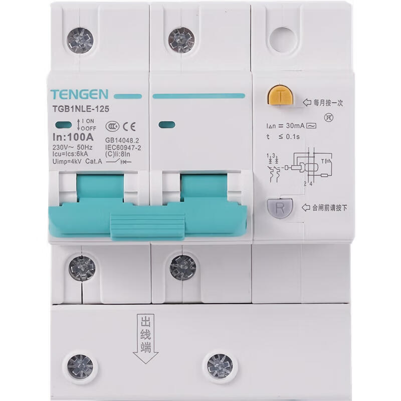 Tianzheng TGB1NLE-125 2P C100 30mA Circuit Breaker