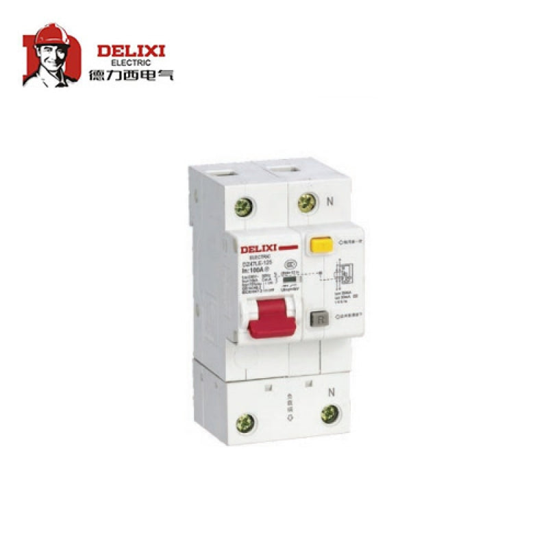 Delixi DZ47LE-125 1P+N 100A Circuit Breaker