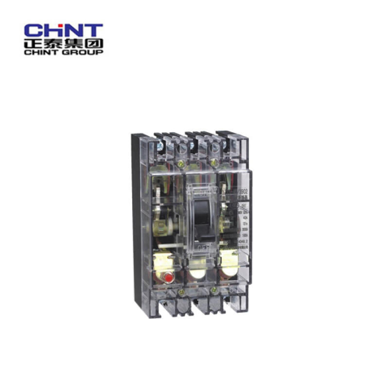 Chint DZ15LE-100/3902 100A 30mA Circuit Breaker Transparent