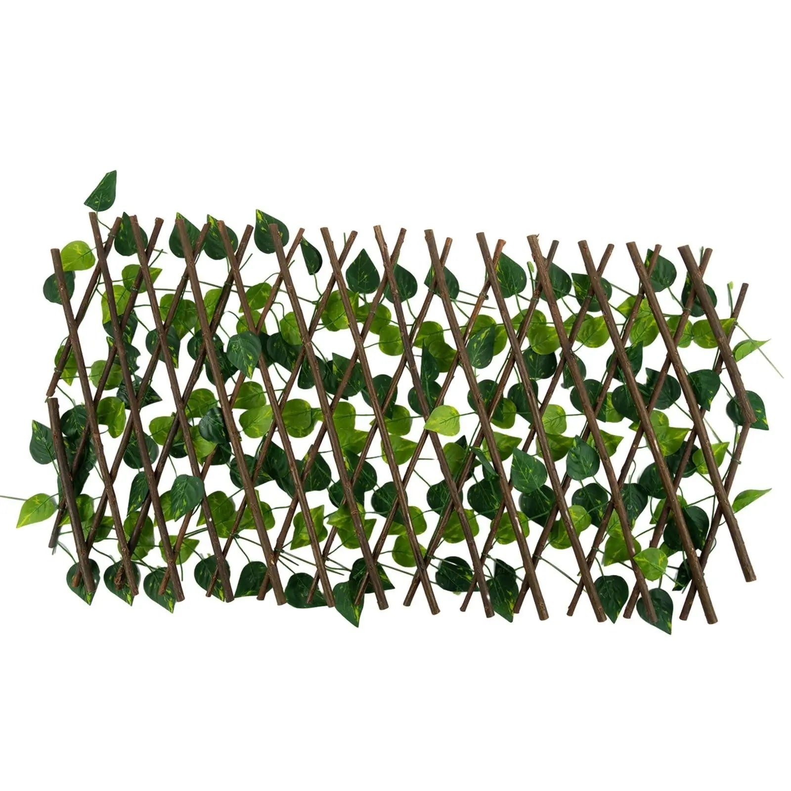 [8]