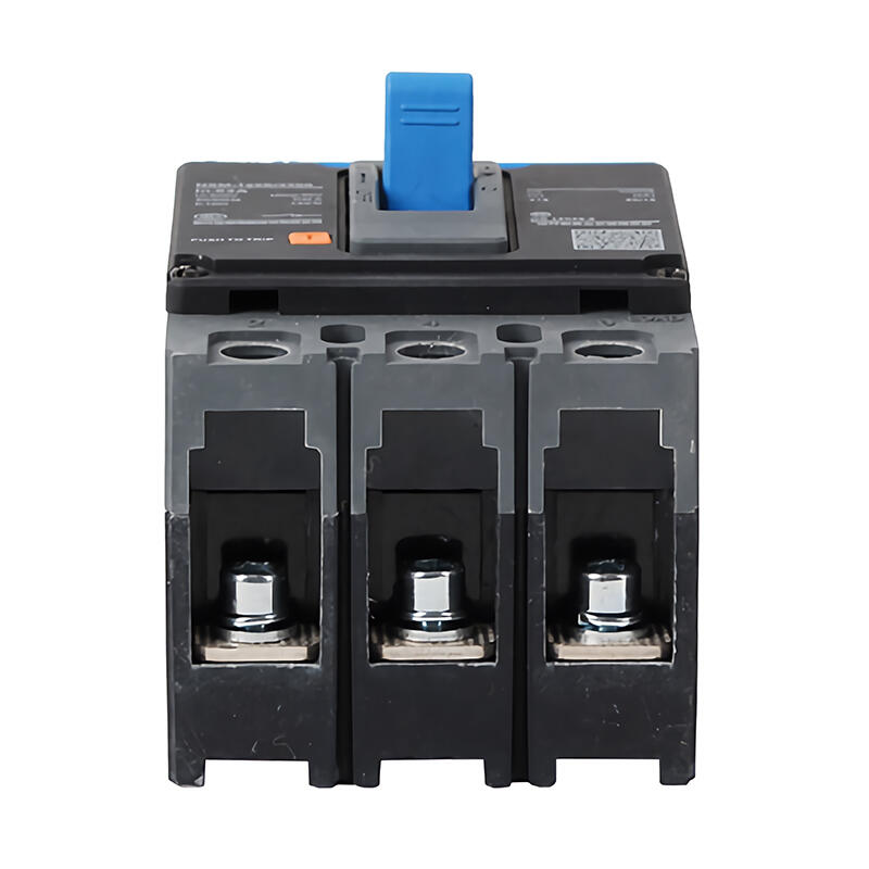 Chint NXM-125S/3300 63A Molded Case Circuit Breaker
