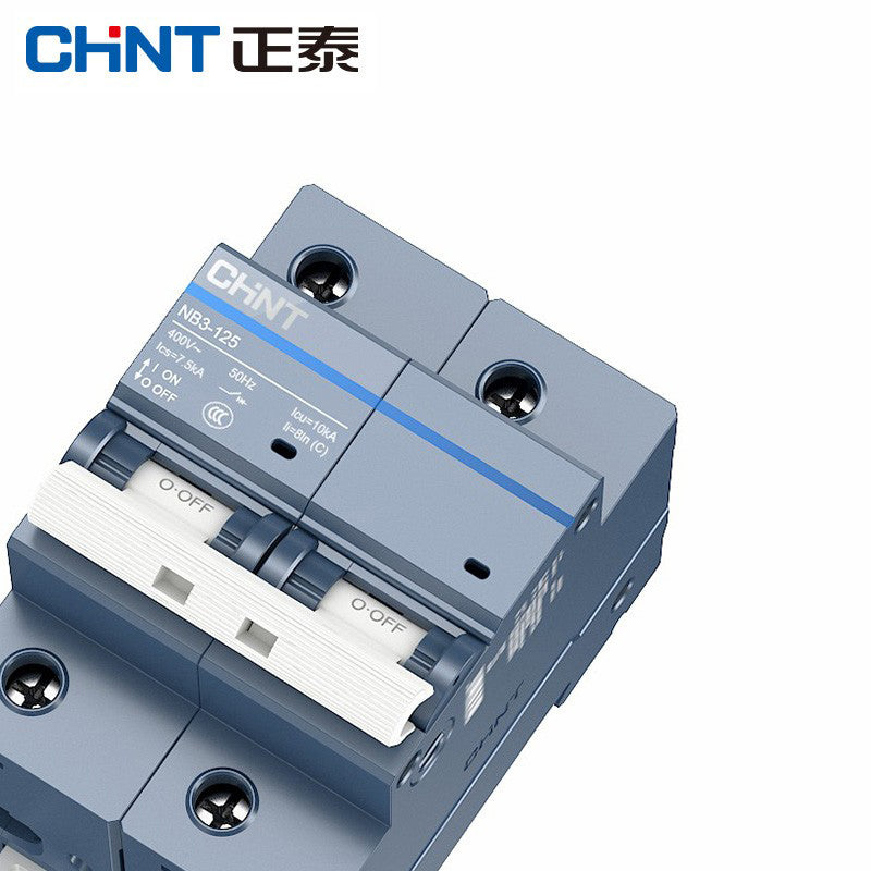 Chint NB3-125 Series 2P C100A Small Circuit Breaker