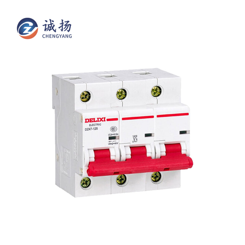 CHENGYANG CY-3JDX construction site three-level electrical box accessories DZ47X single-phase two-pole with grounding 10A