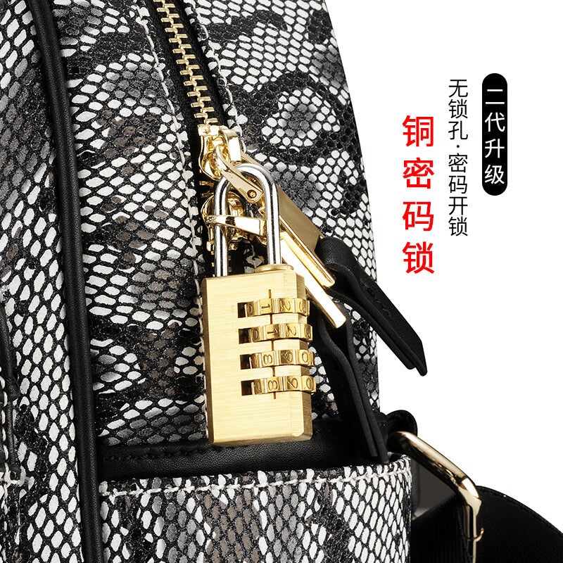 Basic brass combination padlock for home doors, dormitories, cabinets, storage lockers, and luggage; upgradeable 4-digit combination lock.
