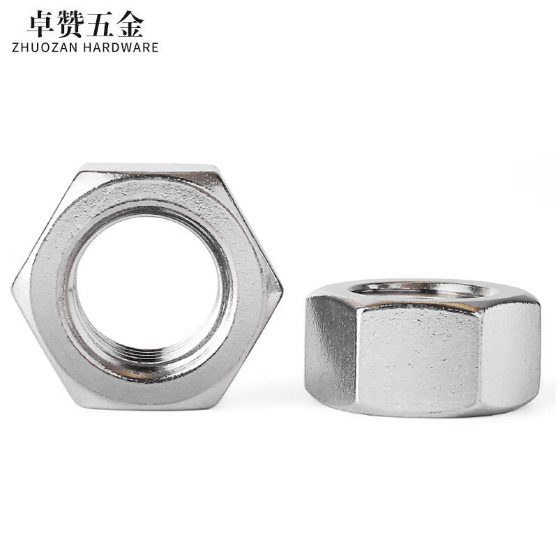 Zhuozan 304 Stainless Steel Hex Screws and Nuts, External Hex Nuts M8 (100 pieces)