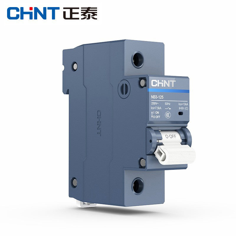 Chint NB3-125 Series 1P C125A Circuit Breaker