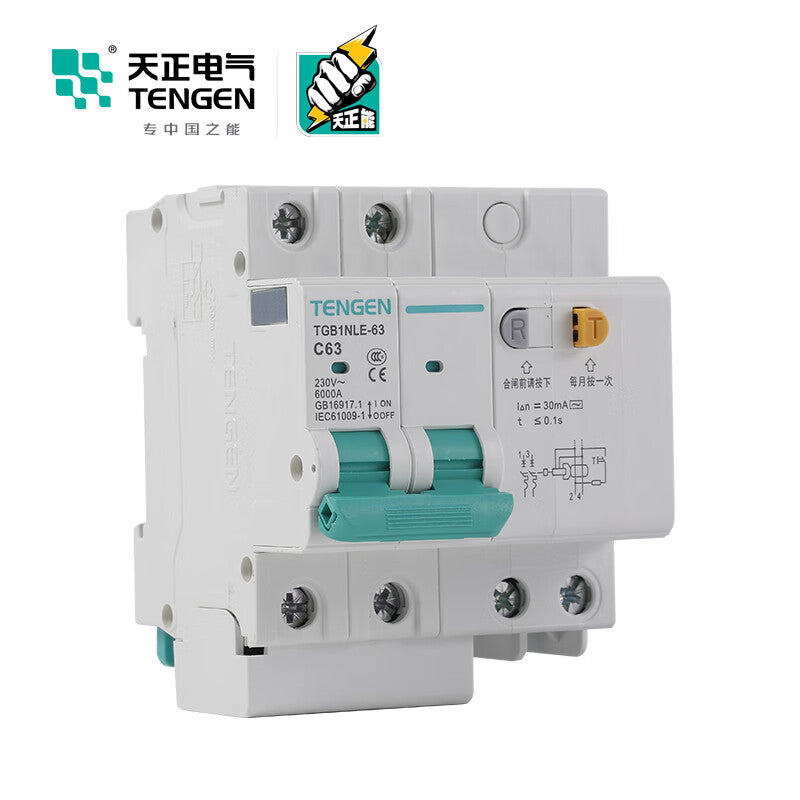 Tianzheng Electric Air Switch TGB1NLE-63 2P C 63A 50mA 335021600814 Miniature Leakage Protection Circuit Breaker
