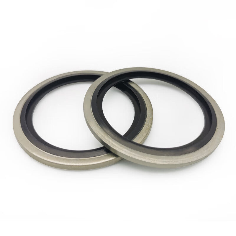 Saint-Gross Premium Galvanized Combination Gasket, Imperial 316 Stainless Steel Nitrile Oil Pipe Sealing Ring, G3/4 [5 pieces]