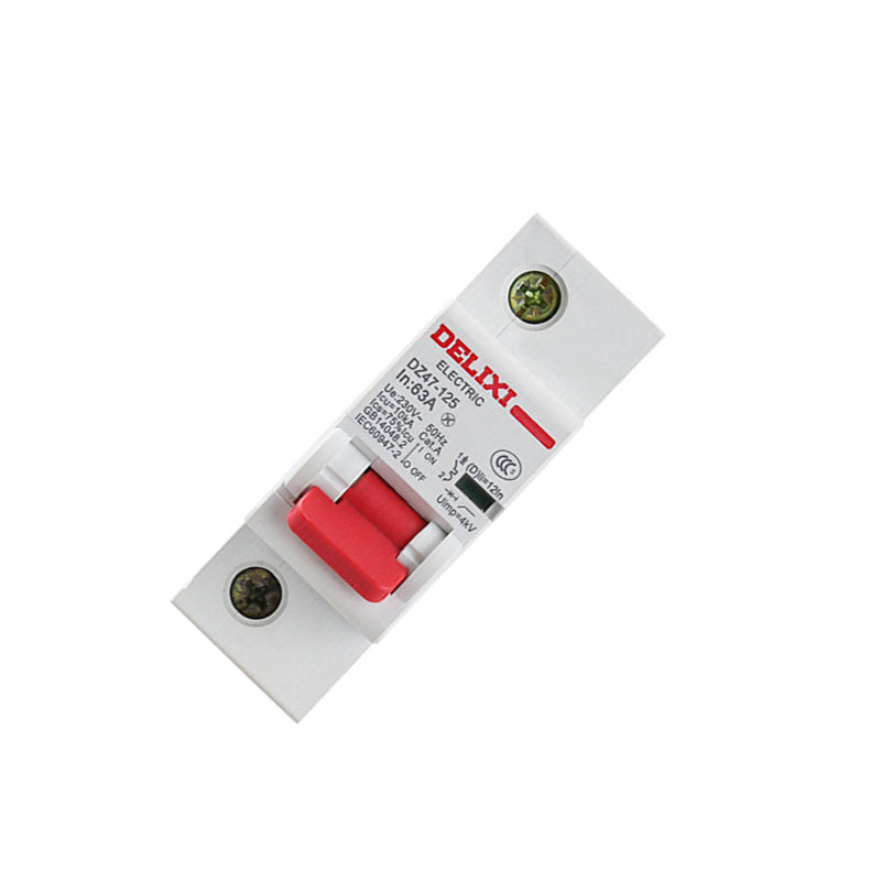 Delixi DZ47-125 high current 1P80A D type small circuit breaker air switch (customized)