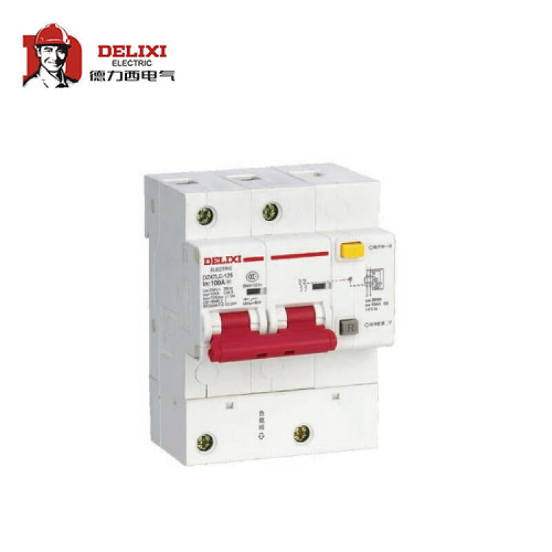 Delixi DZ47LE-125 2P 125A Leakage Circuit Breaker