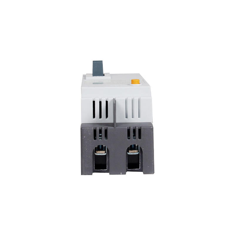 Chint DZ15LE-100/2901 Circuit Breaker 100A 30mA