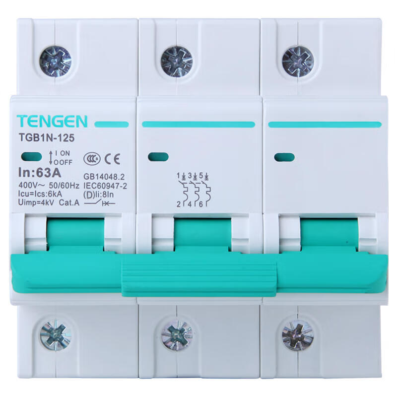 Tianzheng Small Circuit Breaker TGB1N-125 3P C125 Xiangyun 3.0