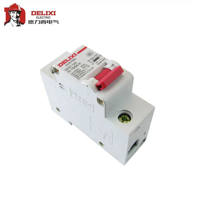Delixi Electric standard circuit breaker; DZ47-125 1P li(D) 100A [2]