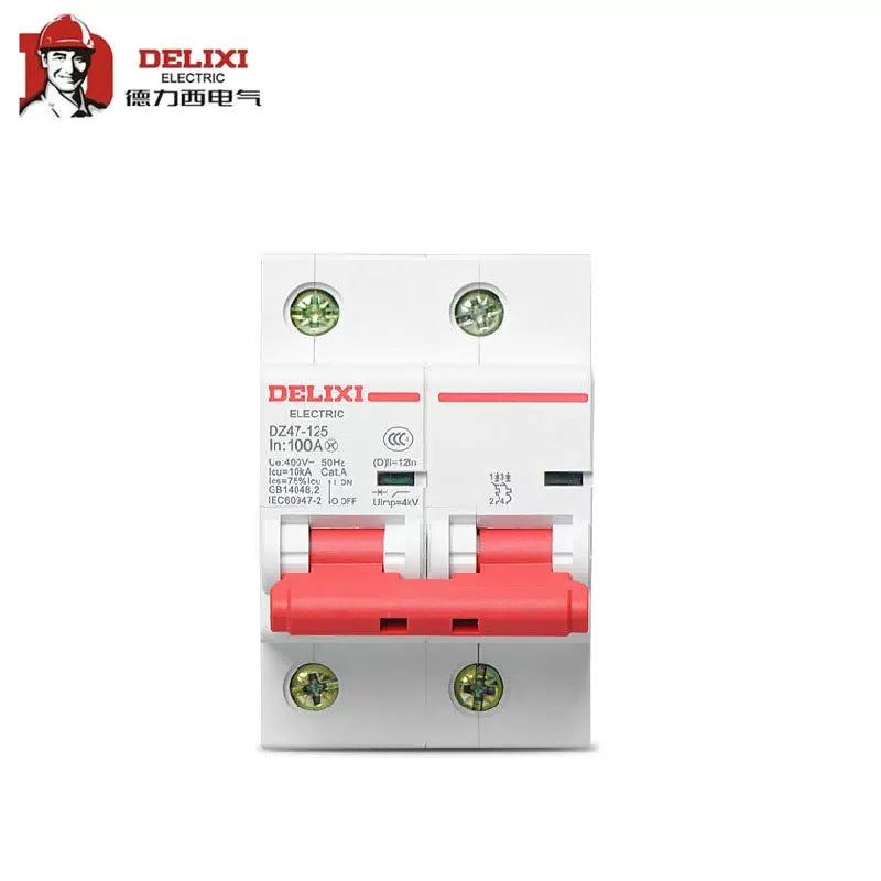 Delixi standard circuit breaker DZ47-125 2P li(C) 100A; DZ471252C100 [1]